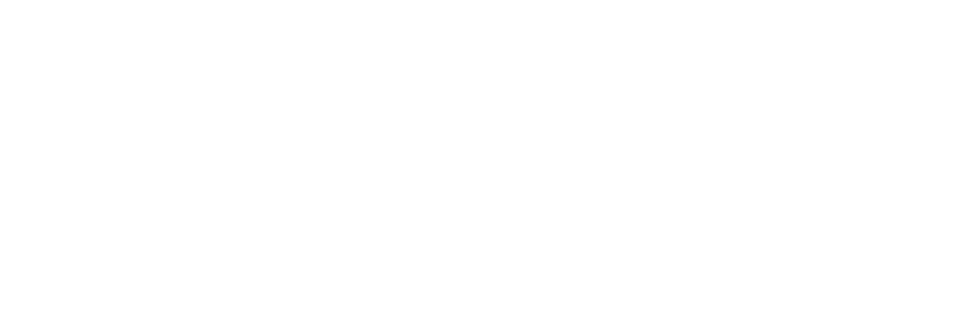 HAYAMI