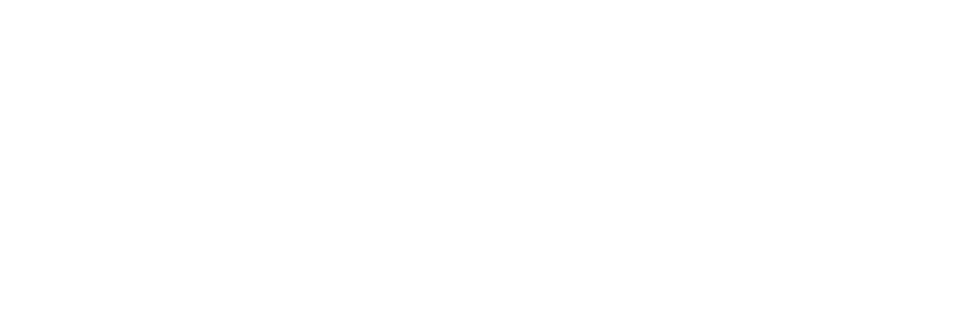 Modest Logo